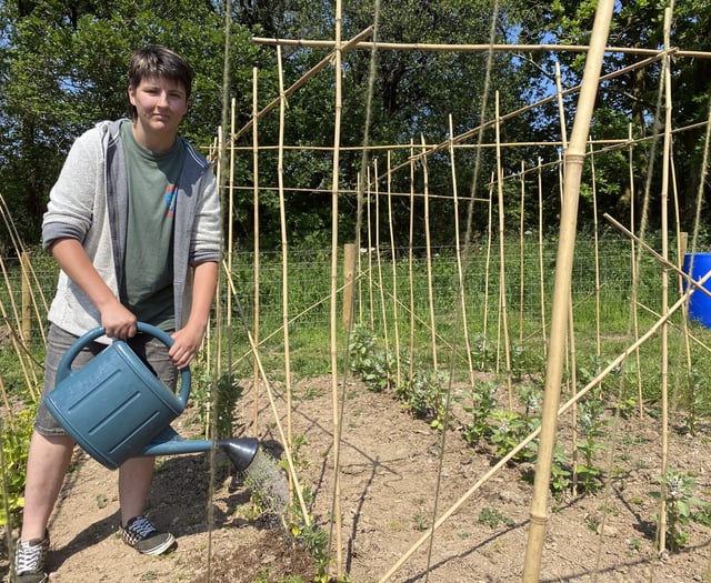 New allotments’ social benefits