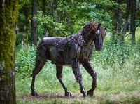 Stone Lane Gardens sculpture exhibition underway