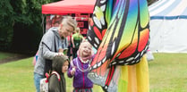 Tavistock EcoFest makes plea for support