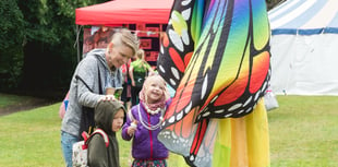 Tavistock EcoFest makes plea for support