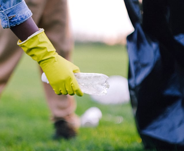 Council weighed down by litter and dog poo 