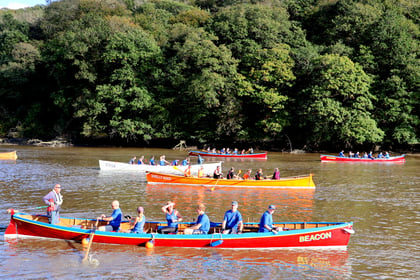Cothele gig rowers' Tamar regatta