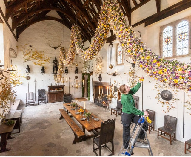 Cotehele garland featuring 30,000 dried flowers is open to the public 