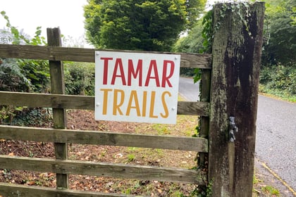 Objections to fresh application for treetop ride at Tamar Trails