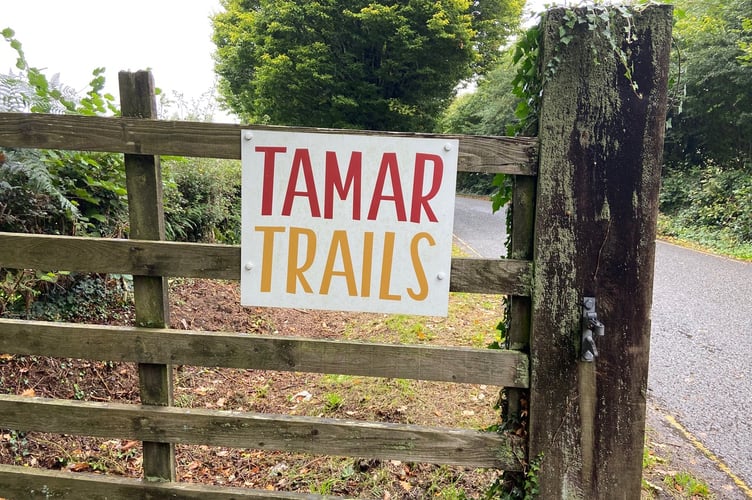 Tamar Trails