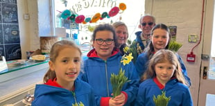 Shop window contest brings spring optimism to town