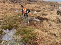 Dartmoor search team rescues walkers in bad weather