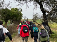 Dartmoor guided walk to Bench Tor