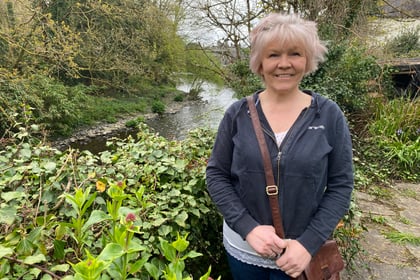 WDBC BY-ELECTION: Tavistock council candidate wants to spruce up town