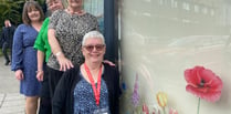 Tavistock charity's window makeover