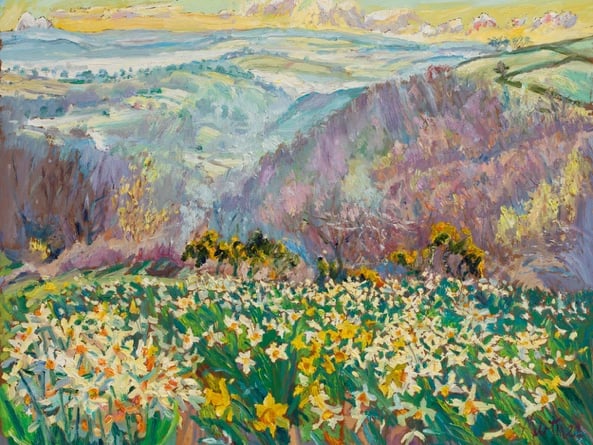 Daffodil garden above the valley by Mary Martin