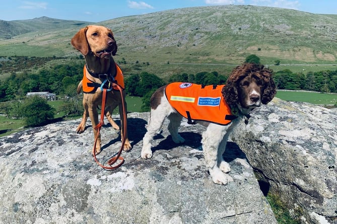 Arlo and Roo - newly qualified search dogs.