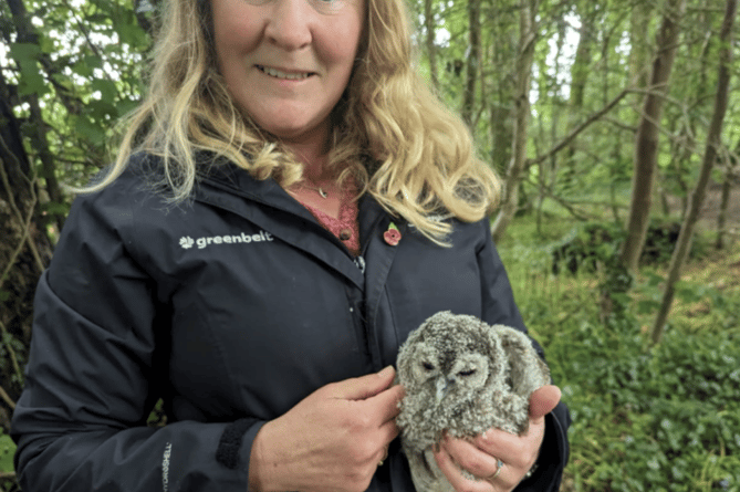 Sooh Boocock, of Greenbelt, with the injured baby owl rescued in Tavistock.