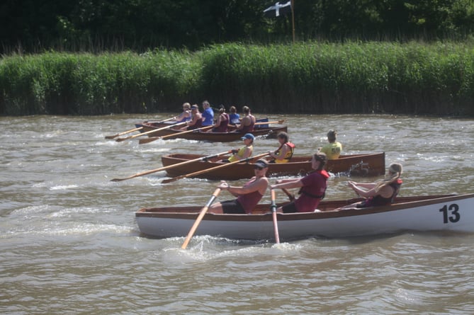 Calstock Regatta race in progress