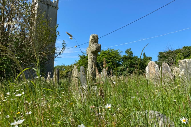 Bere Ferrers churchyard is due to have a trim by West Devon Borough Council .