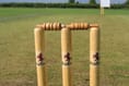 West Somerset Cricket League first division round-up