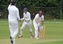 Devon Cricket action from the A and C Divisions