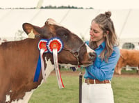 Family's cattle are pride of the shows