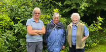 Community garden wildlife survey 