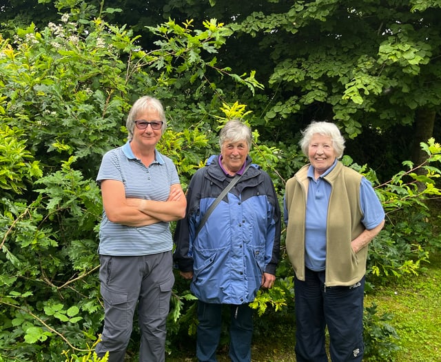 Community garden wildlife survey 