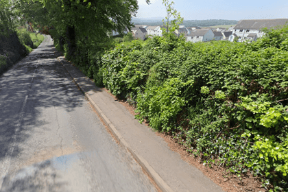 North Tawton petition launched for street lighting to improve safety