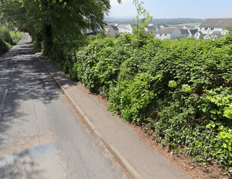 North Tawton petition launched for street lighting to improve ...