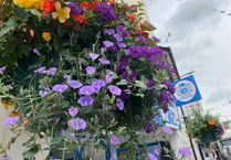 Beautiful blooms adorn town centre