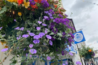Beautiful blooms adorn town centre