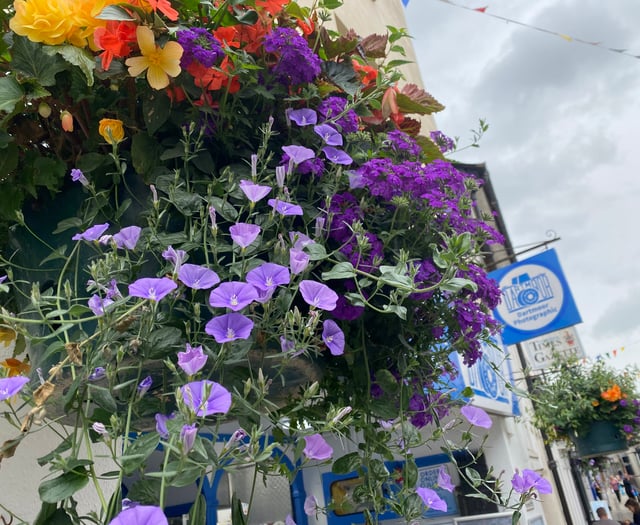 Beautiful blooms adorn town centre