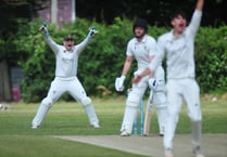 Tolchards Devon Cricket League weekend preview 06/07