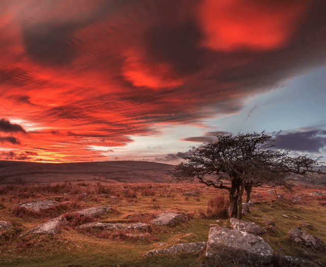 Five hikes to experience Dartmoor's beauty