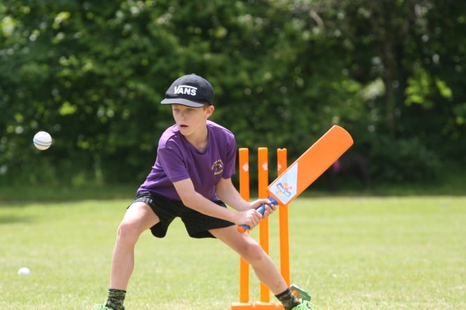 West Devon Primary Schools Cricket Competition 