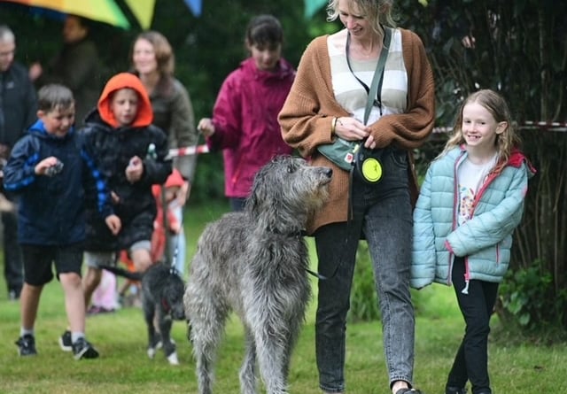 Dog show at Winkleigh Fair