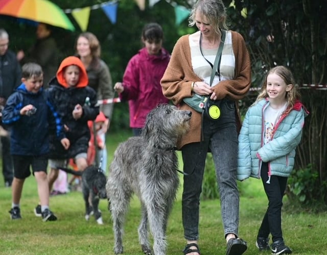 Dog show at Winkleigh Fair