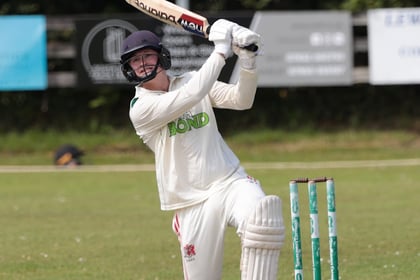 No complaints from White after mixed week for Callington