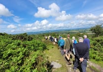 Celebrating 15 years of Tamar Valley Walks for Health