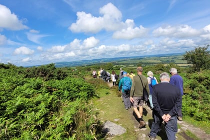 Celebrating 15 years of Tamar Valley Walks for Health