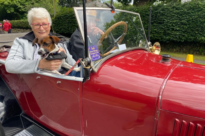 Polished to perfection - a vintage car with a proud couple and their pet dog add class to Tavistock Carnival procession..