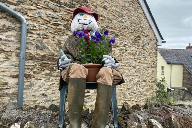 A green-wellied gardener scarecrow in Bere in Bloom. 