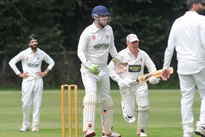 Varying results for Tavistock CC