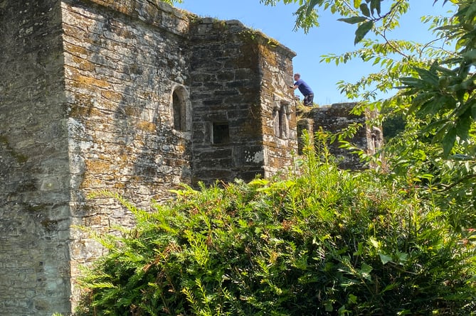 Betsy Grimbal's Tower undergoing a tidy-up before a conservation project begins.