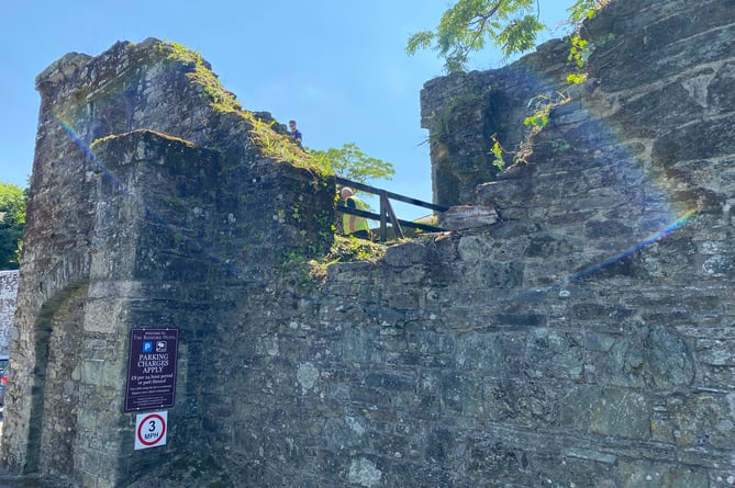 Tavistock Town Council workers clearing plants from Betsy Grimbal's Tower ready for a preservation project.