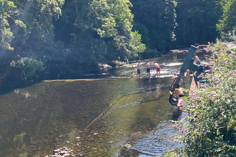 Keeping cool in Tavistock by swimming on the rapids at Abbey Bridge today.