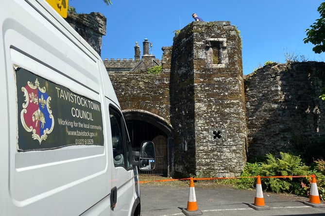 Tavistock's historic Betsy Grimbal's Tower has a 'haircut' as council workers clear vegetation prior to a conservation survey. 