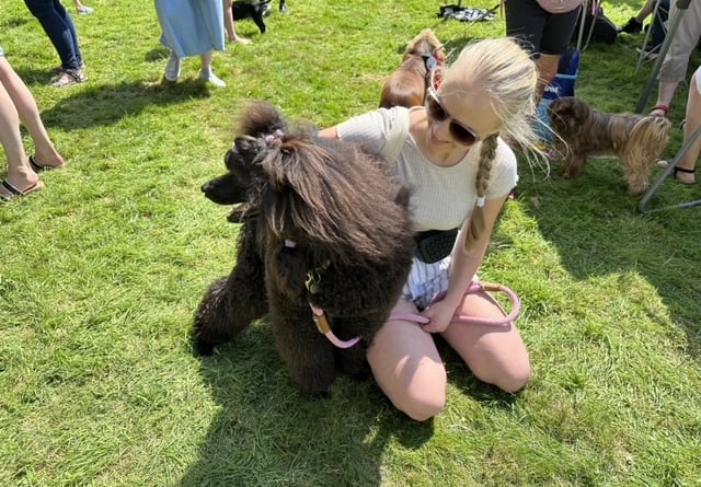 There were many pampered pooches at Gulworthy Summer Fete dog show