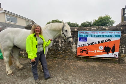 Horse rider urges safer driving