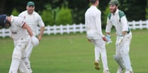 Tolchards Devon Cricket League weekend preview 17/08