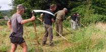 Medieval scything helps manage meadow