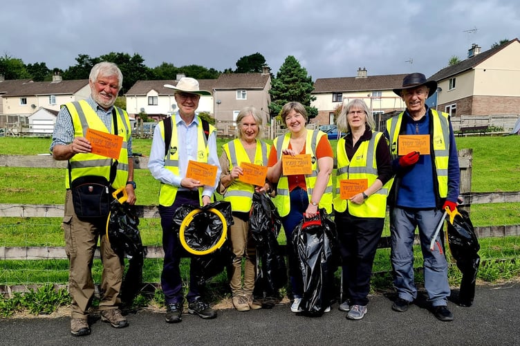 Tidy Tavi Litterpick