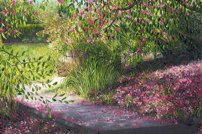 Rhododendrons in the garden at Cotehele, painted by Clare Law